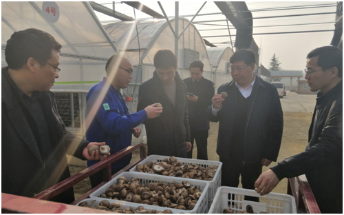 國務(wù)院扶貧辦到中源化學(xué)公司進(jìn)行專項調(diào)研