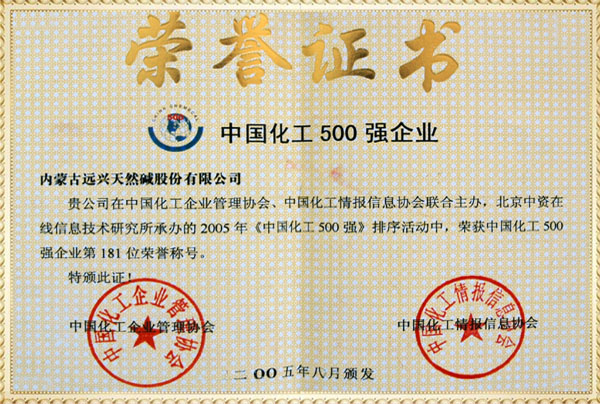 遠(yuǎn)興2005年化工500強(qiáng)證書