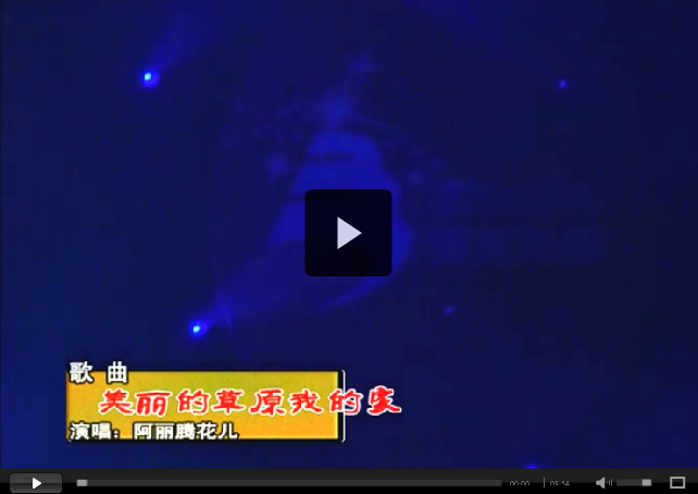 中源化學成立十五周年文藝匯演節目精選之七