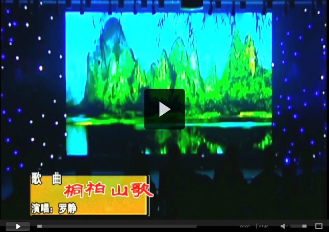 中源化學成立十五周年文藝匯演節目精選之九