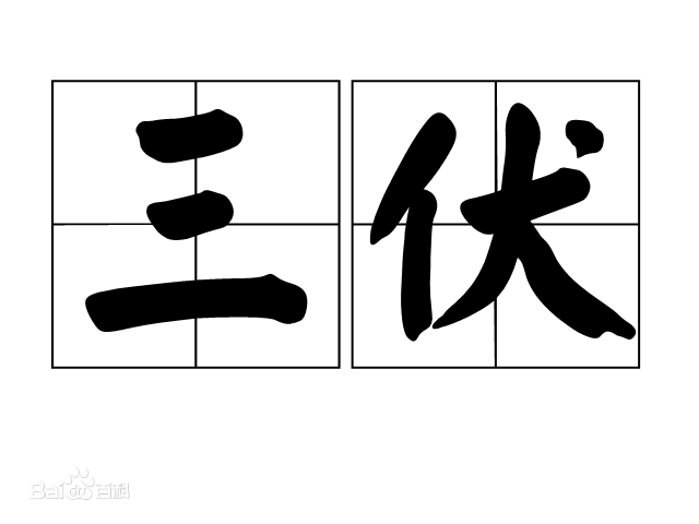 三伏天養生