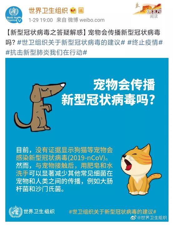 家里的貓狗，會傳染新冠狀病毒嗎？